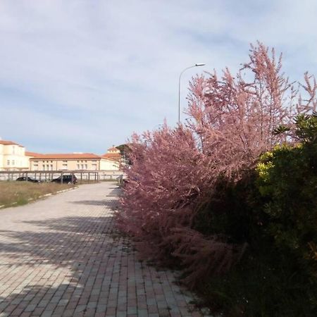 Casa Nel Parco Sulla Spiaggia Pisa Exterior photo