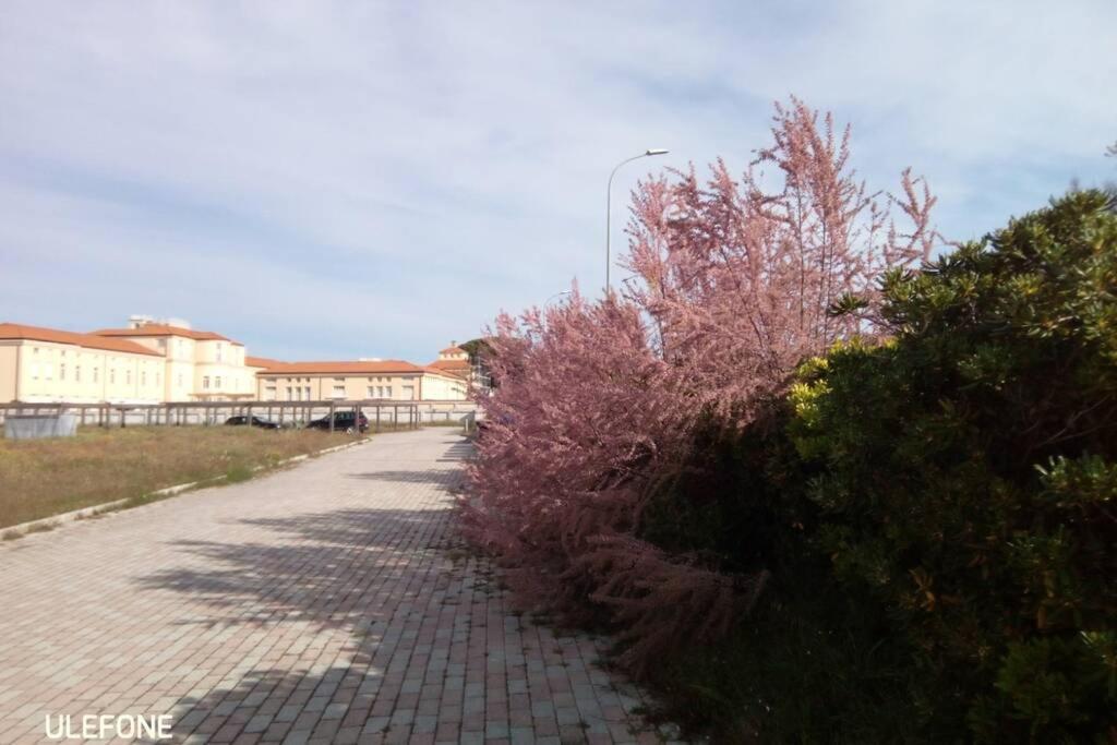 Casa Nel Parco Sulla Spiaggia Pisa Exterior photo